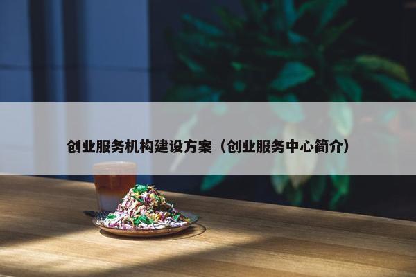 创业服务机构建设方案（创业服务中心简介）