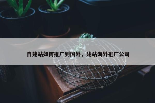 自建站如何推广到国外，建站海外推广公司