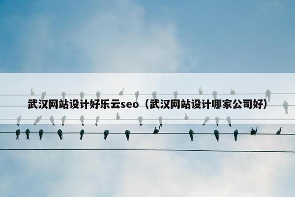 武汉网站设计好乐云seo（武汉网站设计哪家公司好）