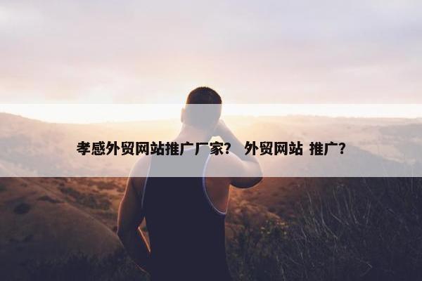 孝感外贸网站推广厂家？ 外贸网站 推广？