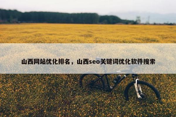 山西网站优化排名，山西seo关键词优化软件搜索