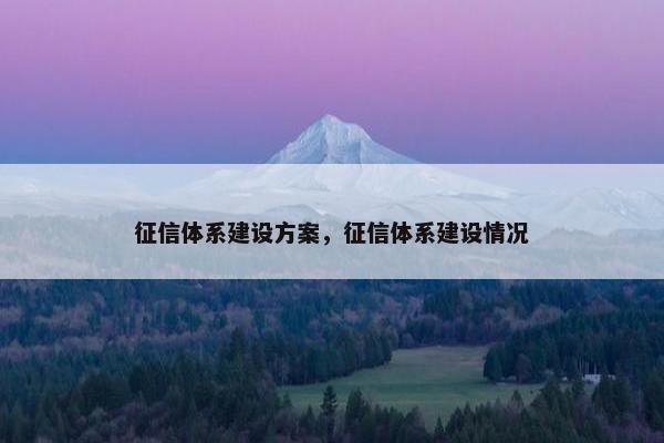 征信体系建设方案，征信体系建设情况