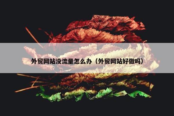 外贸网站没流量怎么办（外贸网站好做吗）