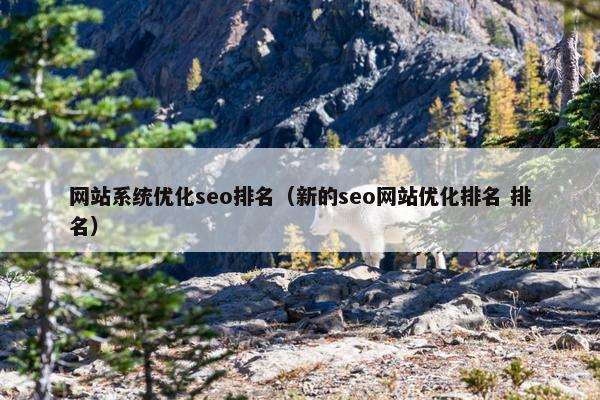 网站系统优化seo排名（新的seo网站优化排名 排名）