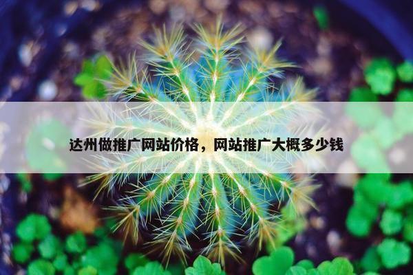达州做推广网站价格，网站推广大概多少钱
