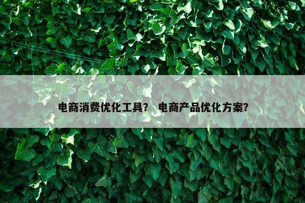 电商消费优化工具？ 电商产品优化方案？