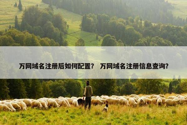万网域名注册后如何配置？ 万网域名注册信息查询？