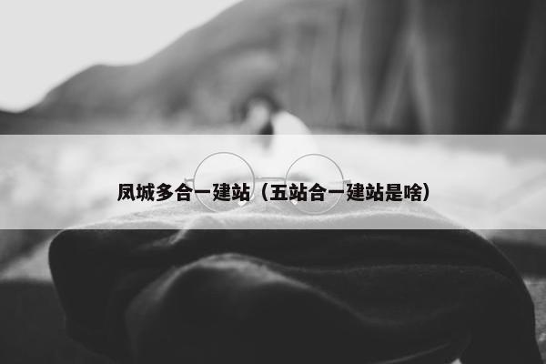 凤城多合一建站（五站合一建站是啥）