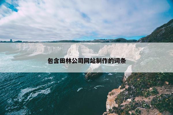 包含田林公司网站制作的词条