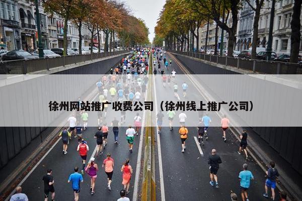 徐州网站推广收费公司（徐州线上推广公司）