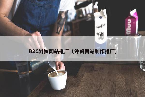 B2C外贸网站推广（外贸网站制作推广）