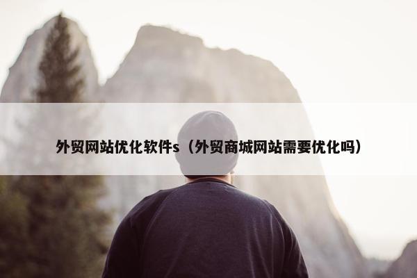 外贸网站优化软件s（外贸商城网站需要优化吗）