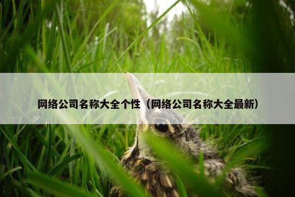 网络公司名称大全个性（网络公司名称大全最新）