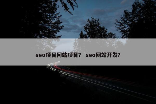 seo项目网站项目？ seo网站开发？