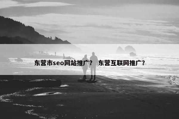 东营市seo网站推广？ 东营互联网推广？