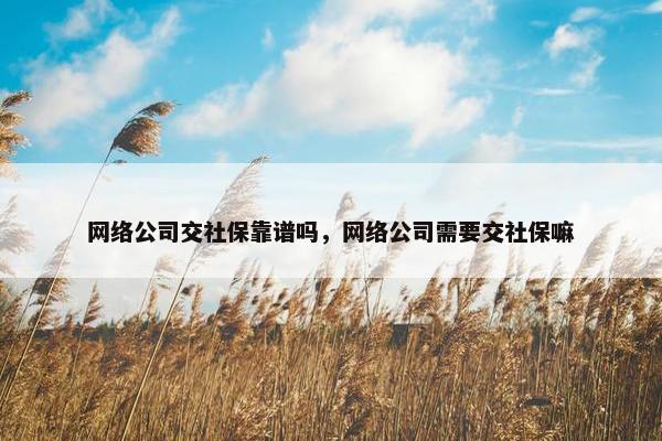 网络公司交社保靠谱吗，网络公司需要交社保嘛