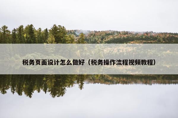 税务页面设计怎么做好（税务操作流程视频教程）