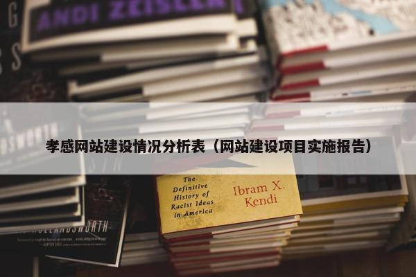 孝感网站建设情况分析表（网站建设项目实施报告）