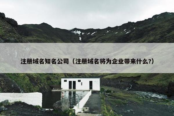 注册域名知名公司（注册域名将为企业带来什么?）