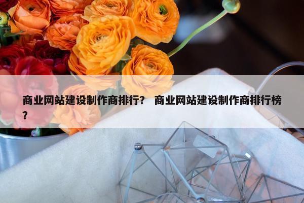 商业网站建设制作商排行？ 商业网站建设制作商排行榜？