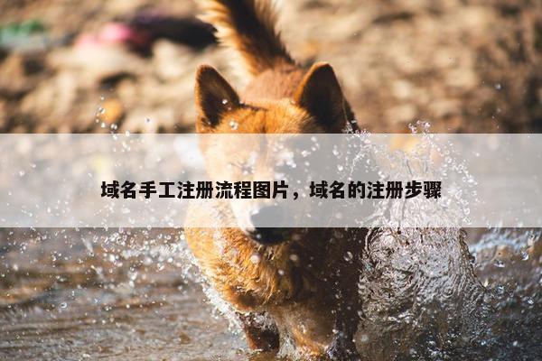 域名手工注册流程图片，域名的注册步骤