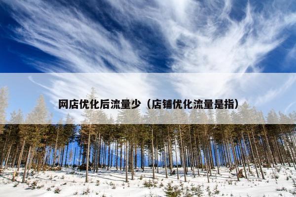 网店优化后流量少（店铺优化流量是指）