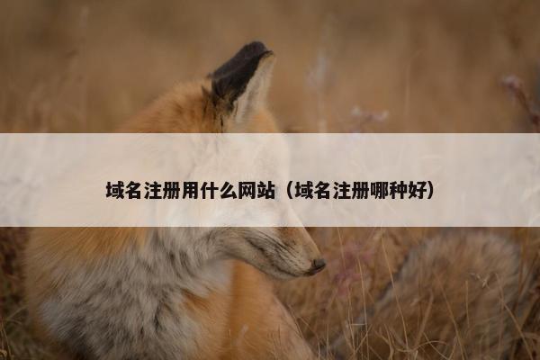 域名注册用什么网站（域名注册哪种好）