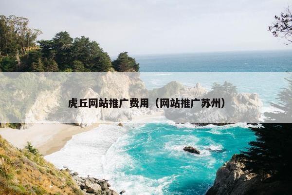 虎丘网站推广费用（网站推广苏州）
