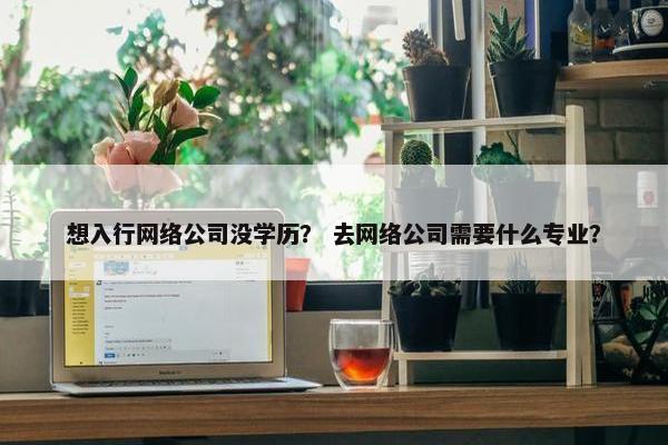 想入行网络公司没学历？ 去网络公司需要什么专业？