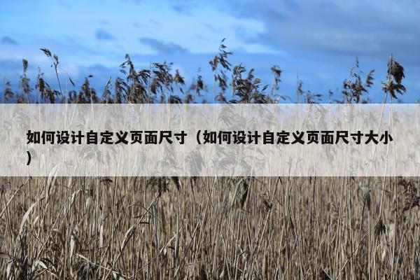 如何设计自定义页面尺寸（如何设计自定义页面尺寸大小）