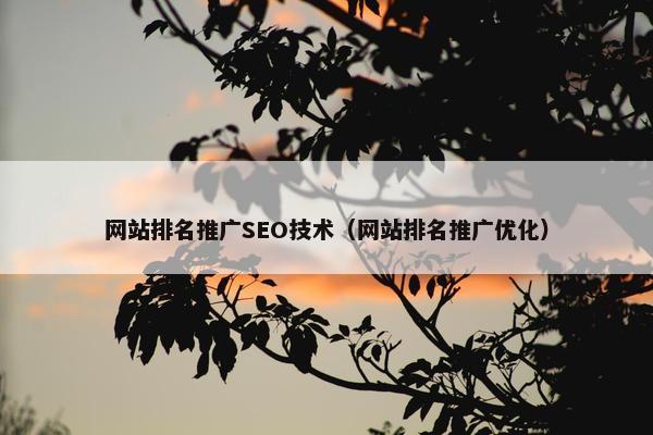 网站排名推广SEO技术（网站排名推广优化）