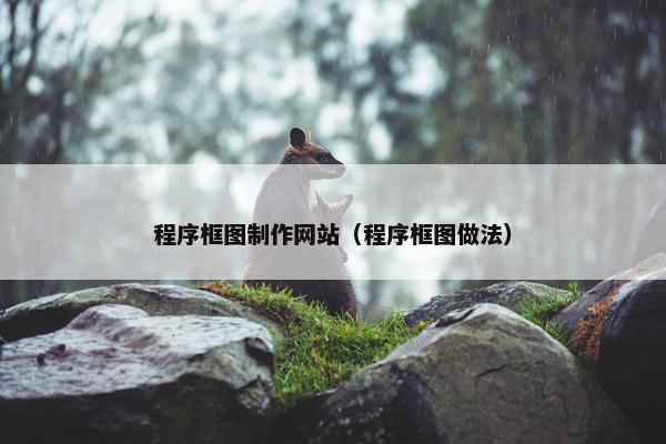 程序框图制作网站（程序框图做法）