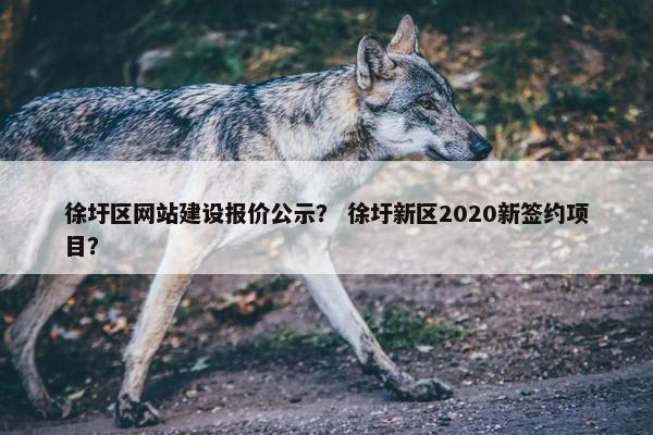 徐圩区网站建设报价公示？ 徐圩新区2020新签约项目？