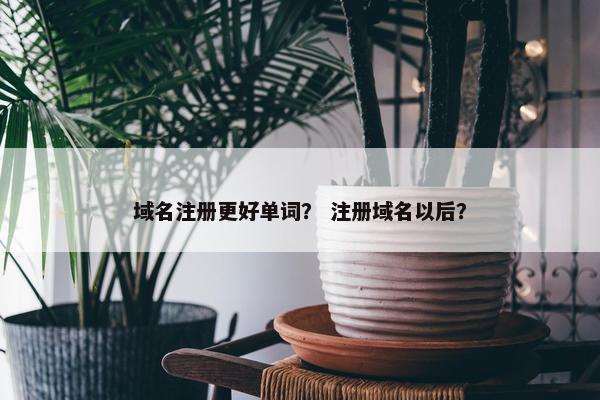 域名注册更好单词？ 注册域名以后？