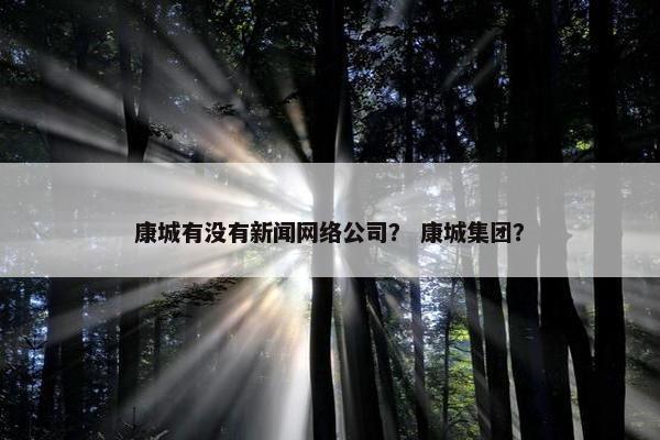 康城有没有新闻网络公司？ 康城集团？
