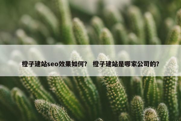 橙子建站seo效果如何？ 橙子建站是哪家公司的？