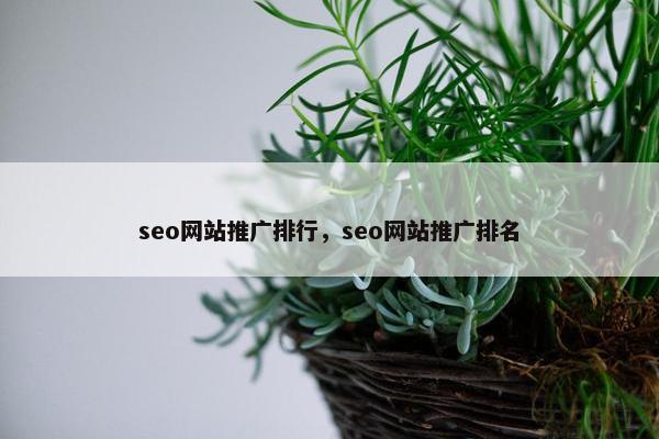 seo网站推广排行，seo网站推广排名