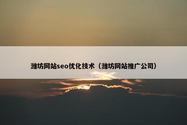 潍坊网站seo优化技术（潍坊网站推广公司）