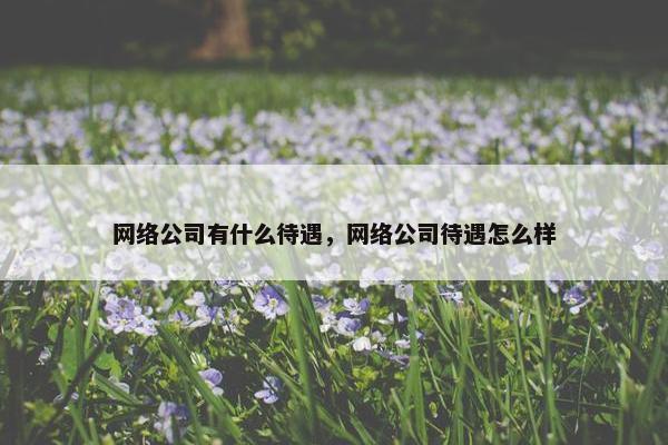网络公司有什么待遇，网络公司待遇怎么样