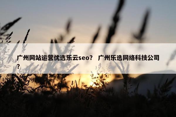 广州网站运营优选乐云seo？ 广州乐选网络科技公司？