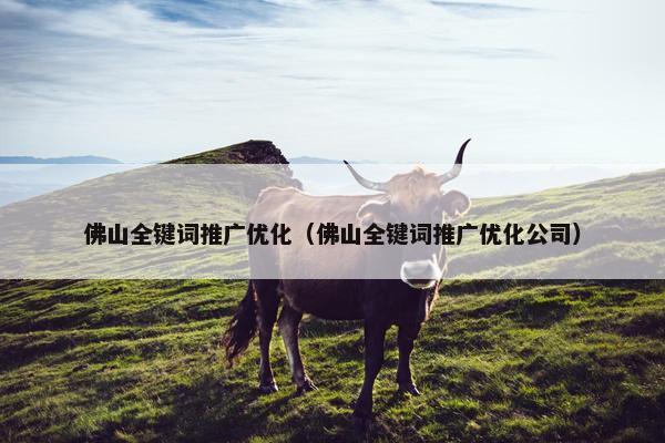 佛山全键词推广优化（佛山全键词推广优化公司）