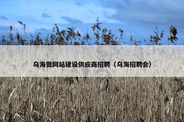 乌海做网站建设供应商招聘（乌海招聘会）