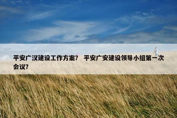 平安广汉建设工作方案？ 平安广安建设领导小组第一次会议？