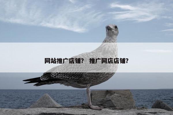 网站推广店铺？ 推广网店店铺？