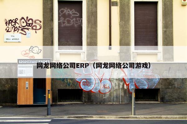 网龙网络公司ERP（网龙网络公司游戏）
