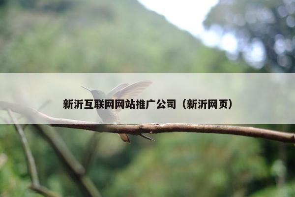 新沂互联网网站推广公司（新沂网页）