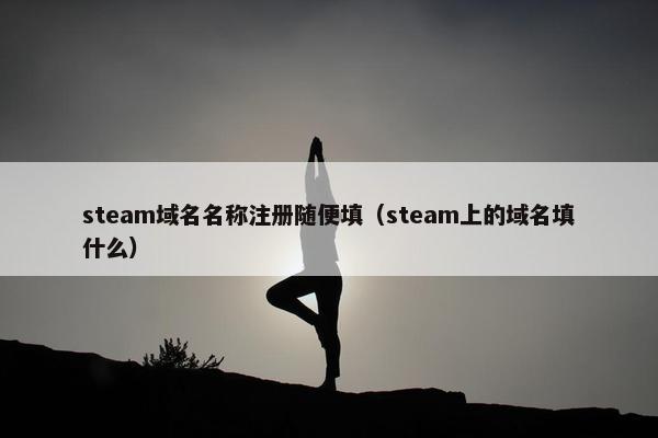 steam域名名称注册随便填（steam上的域名填什么）