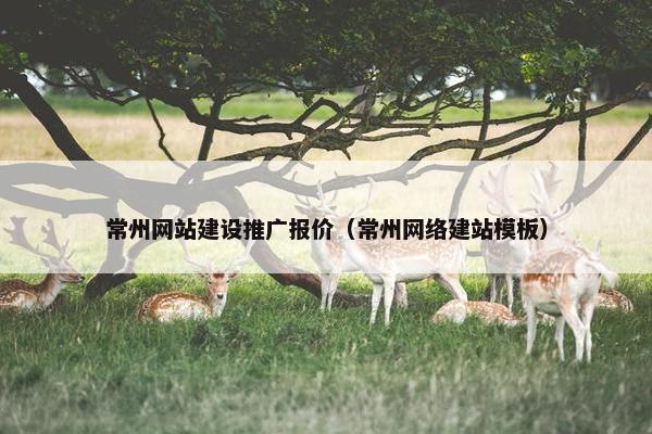 常州网站建设推广报价（常州网络建站模板）