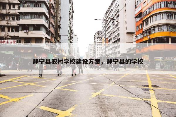 静宁县农村学校建设方案，静宁县的学校