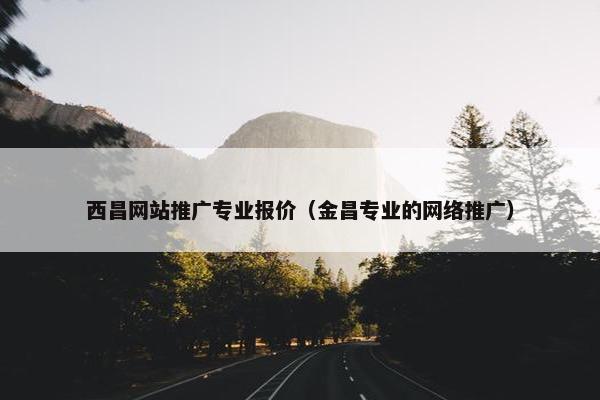 西昌网站推广专业报价（金昌专业的网络推广）